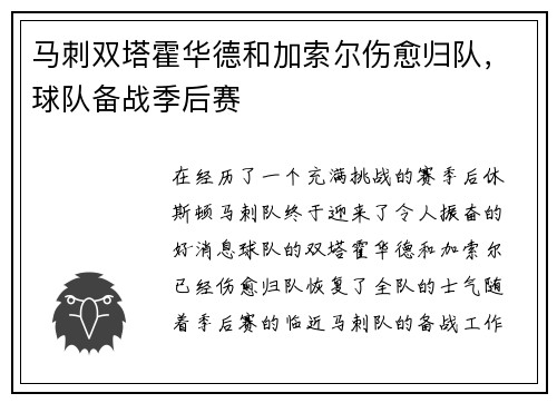 马刺双塔霍华德和加索尔伤愈归队，球队备战季后赛