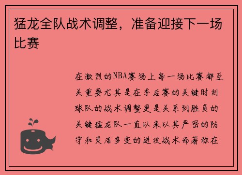 猛龙全队战术调整，准备迎接下一场比赛